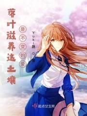 落叶和土壤