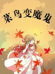 菜鸟蜕变下一步是什么