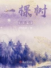 月华夜
