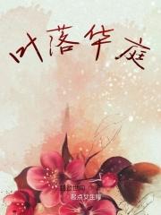 叶落zz