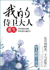 我的侍卫大人超好看