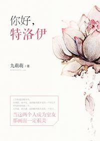 特洛伊remember