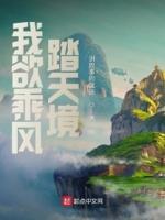 我欲乘风归去打一成语