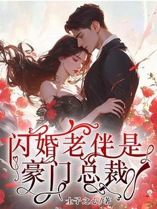 闪婚老公是总裁的电视剧