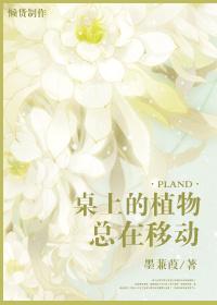 桌上的植物叫什么