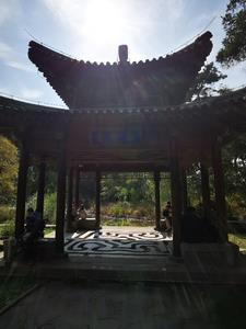 黄山的仙人指路图片