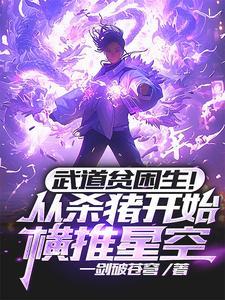 武道贫困生!从杀猪开始横推星空多少字