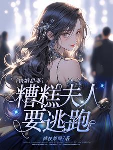 错嫁甜婚老公吻安免费阅读无弹窗的叫什么