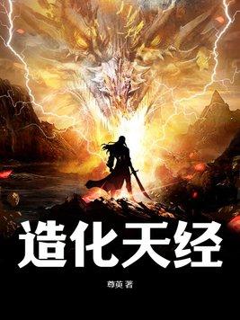 造化天书简介