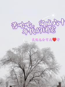 穿成六十年代农女家