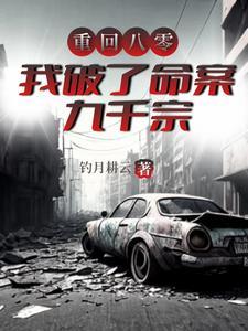 重生八零进行时