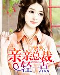 亲亲总裁轻一点宛情