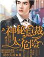 神秘老公太给力