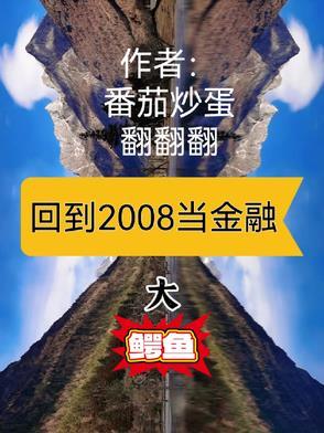 回到08年怎么赚钱