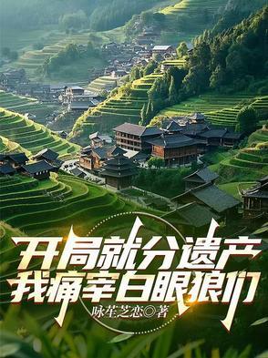开局继承遗产