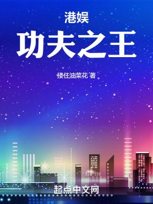 港娱功夫之王无错版txt