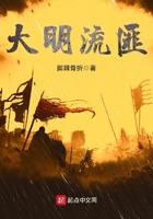 大明流匪百科