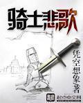 骑士悲歌写的什么阿 看的头晕