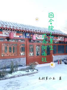 重生之四合院之我是何雨住