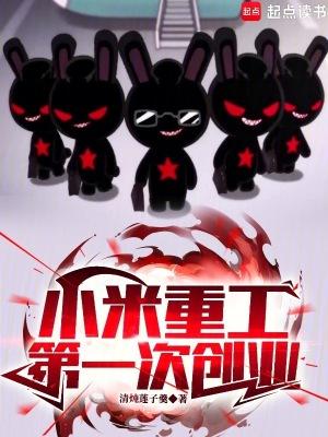 小米集团近况
