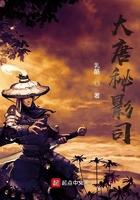 大唐秘影司多长