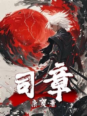 司章军灯光指导