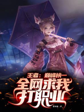 帮我打王者荣耀巅峰赛