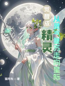 精灵觉醒功略