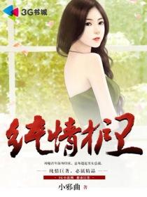 纯情护卫百度百科