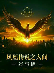 凤凰传说20