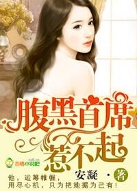 腹黑首席惹不起全文阅读