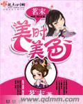 美时美分
