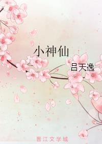 小神仙歌词