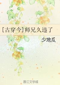 师兄穿书文