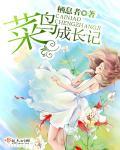 菜鸟成长记封昌建