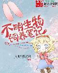 不明生物系列