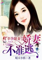 幸孕甜妻大叔安分点