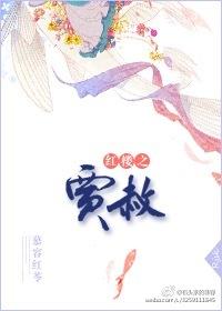 红楼之贾赦晋江