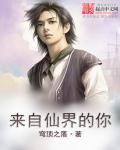 来自仙界的男人零点风