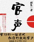 官声之巅峰权力 第394章