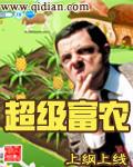 富豪大农民