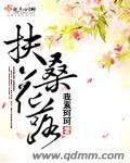 扶桑花开什么意思