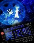 我在都市混日子
