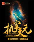 执宰大明朱元青全文免费阅读