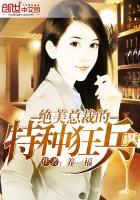 绝美总裁的贴身兵王百度百科