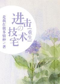 技术宅系统完整版