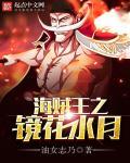 海贼王之镜花水月艾伦高冷的羽毛