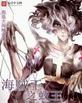 海贼王之全本狂想