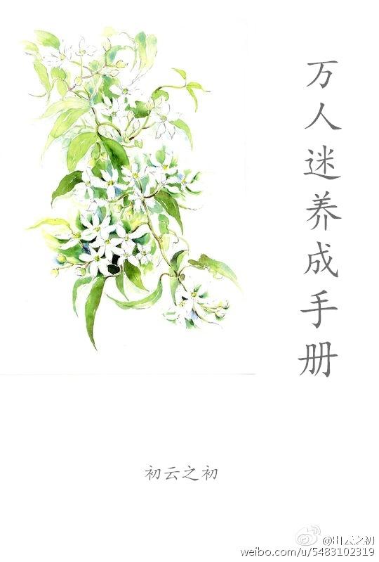 万人迷培养系统