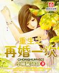 重生之再婚一次百度